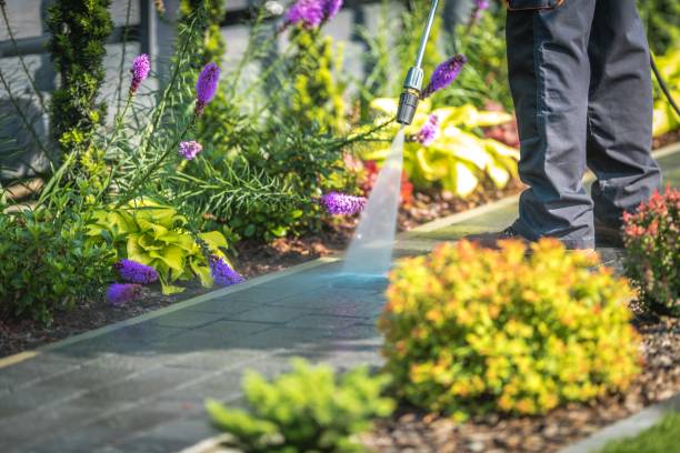 Best Fence Cleaning  in Athena, OR